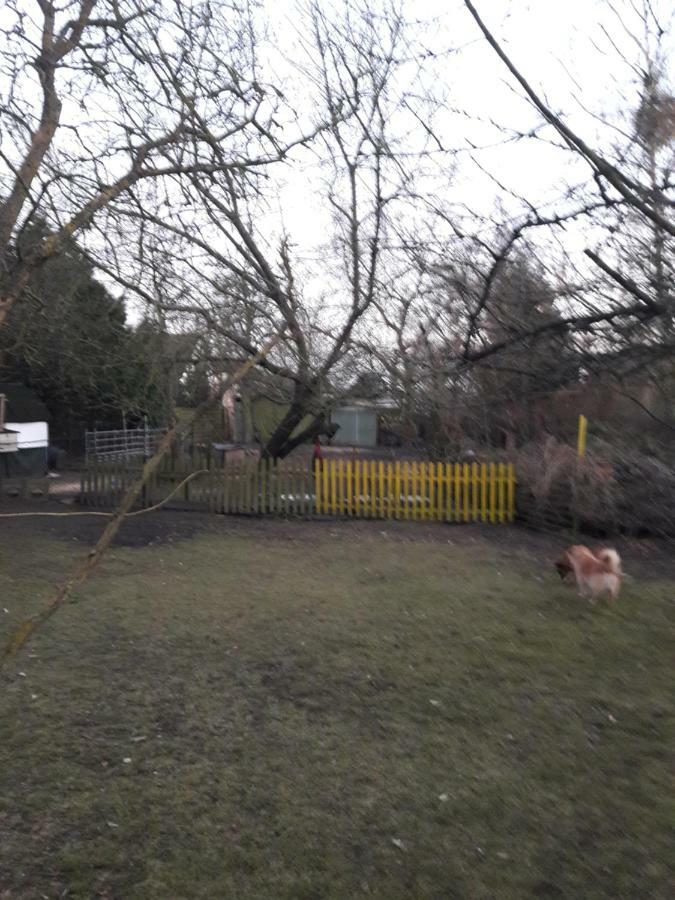 Hundefreundliches Zimmer Wustermark Exterior photo